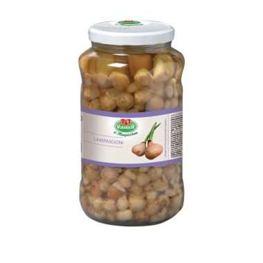 Lampascioni alla pugliese viander 18370